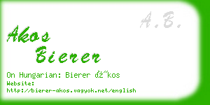 akos bierer business card